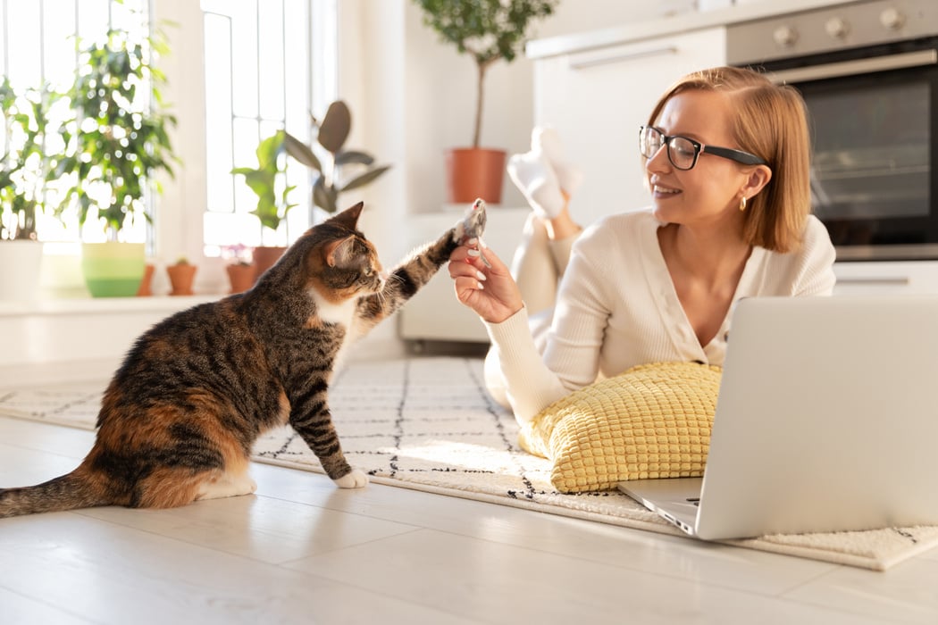 Woman Playing with Her Cat